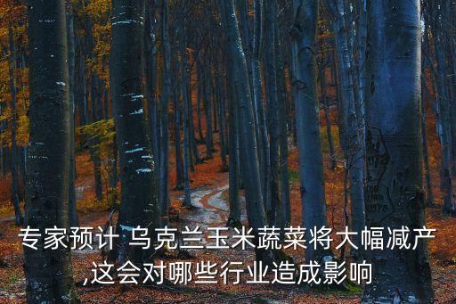 中國烏克蘭農業(yè)合作,烏克蘭發(fā)展農業(yè)的優(yōu)勢條件