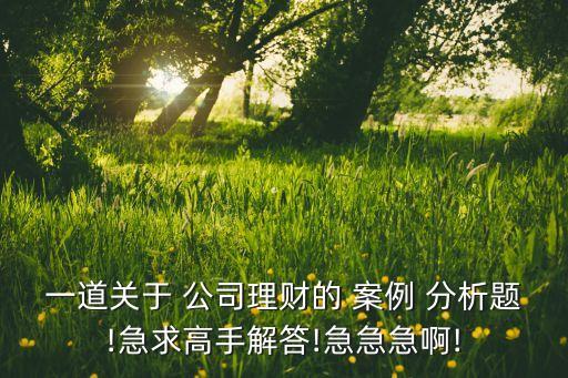 一道關于 公司理財?shù)?案例 分析題!急求高手解答!急急急啊!