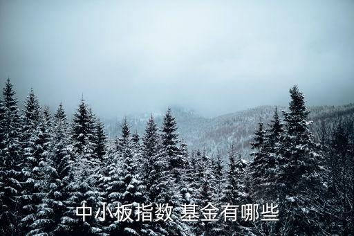 481009基金今天凈值,工銀瑞信481009凈值