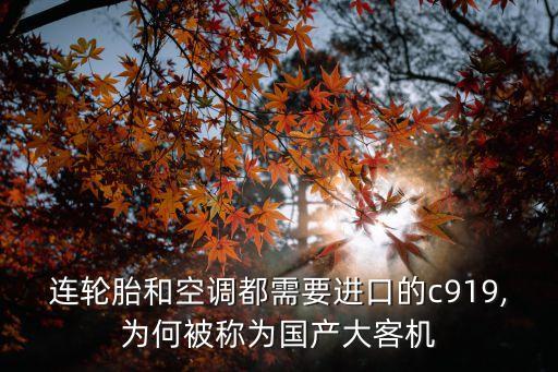 中國(guó)通用飛機(jī)制造,沈陽(yáng)瑞祥通用飛機(jī)制造