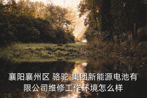 駱駝集團(tuán)股份擴建新廠,駱駝股份集團(tuán)有限公司