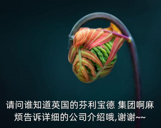 請(qǐng)問誰知道英國(guó)的芬利寶德 集團(tuán)啊麻煩告訴詳細(xì)的公司介紹哦,謝謝~~
