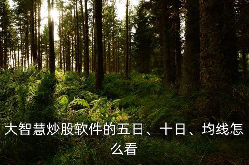 大智慧炒股軟件的五日、十日、均線怎么看