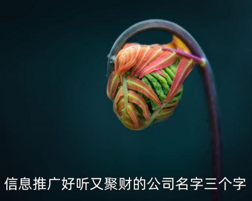 信息推廣好聽(tīng)又聚財(cái)?shù)墓久秩齻€(gè)字