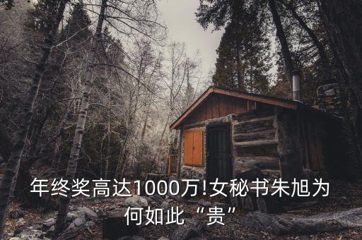 年終獎(jiǎng)高達(dá)1000萬(wàn)!女秘書(shū)朱旭為何如此“貴”
