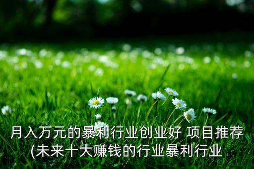 月入萬(wàn)元的暴利行業(yè)創(chuàng)業(yè)好 項(xiàng)目推薦(未來(lái)十大賺錢(qián)的行業(yè)暴利行業(yè)