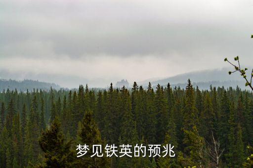夢見鐵英的預兆