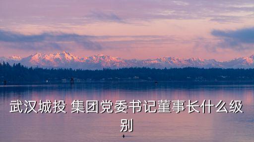 武漢城投 集團(tuán)黨委書(shū)記菫事長(zhǎng)什么級(jí)別
