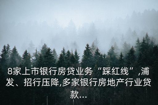 8家上市銀行房貸業(yè)務“踩紅線”,浦發(fā)、招行壓降,多家銀行房地產行業(yè)貸款...