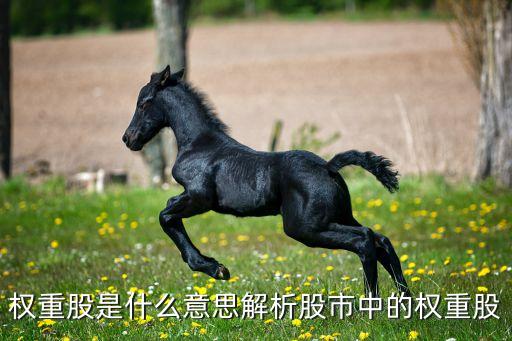 權重股是什么意思解析股市中的權重股