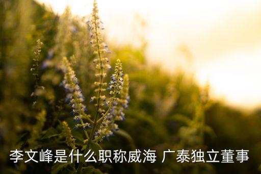 李文峰是什么職稱(chēng)威海 廣泰獨(dú)立董事