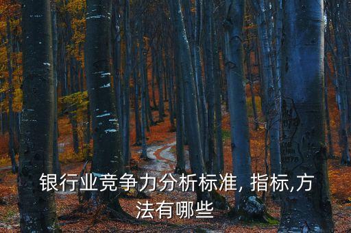  銀行業(yè)競爭力分析標(biāo)準(zhǔn), 指標(biāo),方法有哪些