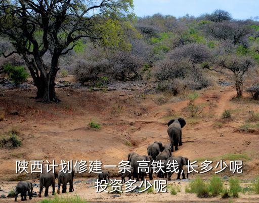 陜西計(jì)劃修建一條 高鐵線,長多少呢 投資多少呢
