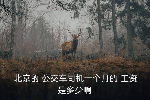  北京的 公交車(chē)司機(jī)一個(gè)月的 工資是多少啊