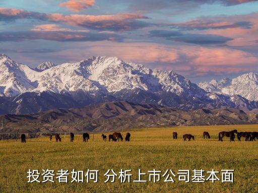 目的地投資者分析,投資者與目的地關(guān)系類(lèi)型是