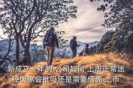新成立一年的 公司如何 上市正常途徑國家會(huì)批嗎還是需要借殼 上市