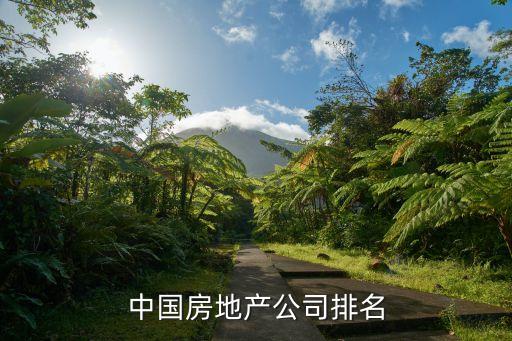 廈門國貿集團年銷售額