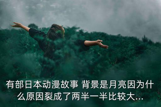 彩虹集團背景,中國電子彩虹集團