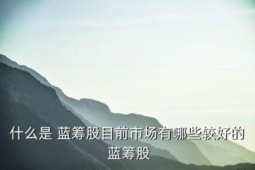 2015年藍籌股有哪些股票