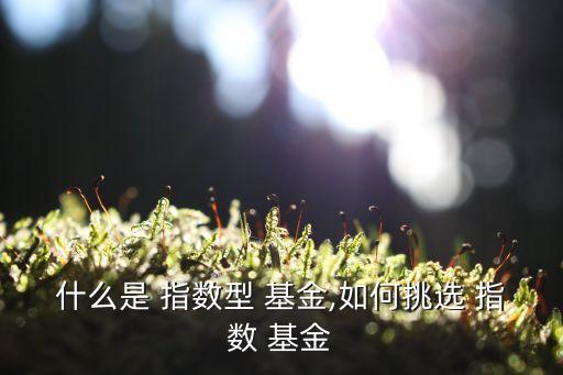 什么是 指數型 基金,如何挑選 指數 基金