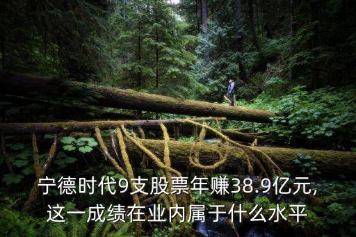 寧德時(shí)代9支股票年賺38.9億元,這一成績在業(yè)內(nèi)屬于什么水平