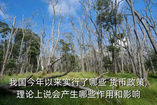 我國今年以來實行了哪些 貨幣政策,理論上說會產生哪些作用和影響