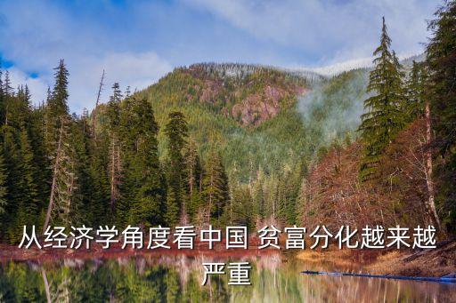 從經(jīng)濟(jì)學(xué)角度看中國 貧富分化越來越嚴(yán)重