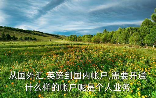 從國外匯 英鎊到國內(nèi)帳戶,需要開通什么樣的帳戶呢是個人業(yè)務(wù)