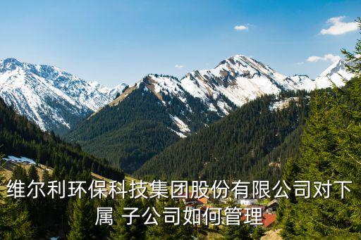 維爾利環(huán)?？萍技瘓F股份有限公司對下屬 子公司如何管理