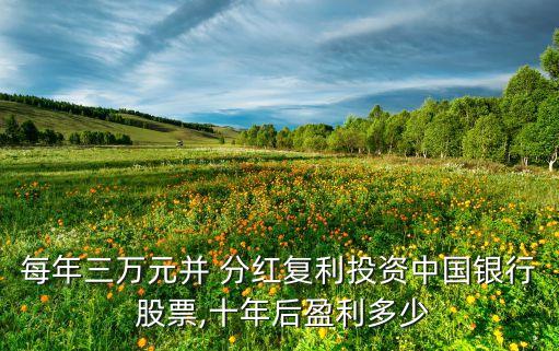 每年三萬元并 分紅復(fù)利投資中國(guó)銀行 股票,十年后盈利多少
