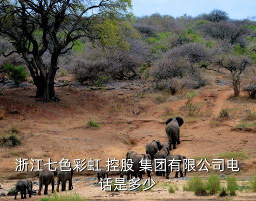 最新紹興大宋控股集團,紹興大宋控股集團有限公司管理人
