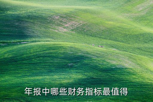 年報(bào)中哪些財(cái)務(wù)指標(biāo)最值得