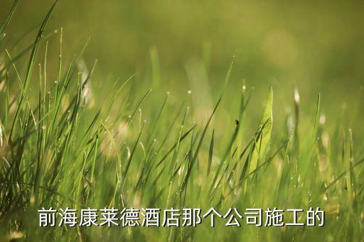 前?？等R德酒店那個公司施工的