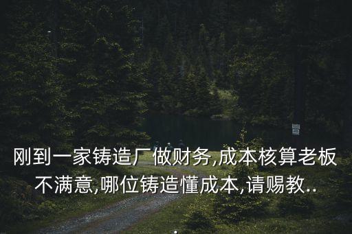 剛到一家鑄造廠做財務,成本核算老板不滿意,哪位鑄造懂成本,請賜教...