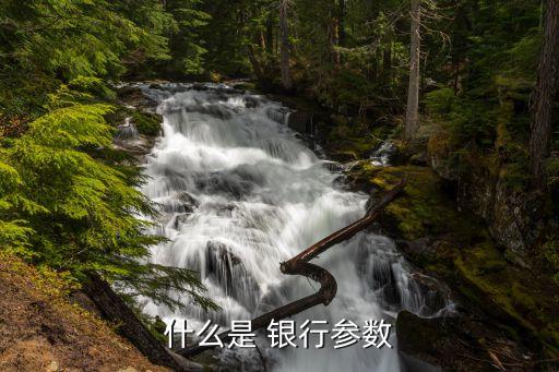 什么是 銀行參數
