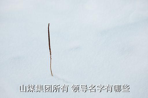 山煤集團所有 領導名字有哪些