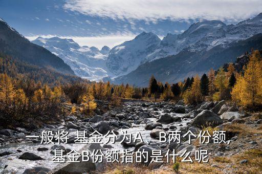 一般將 基金分為A、B兩個(gè)份額, 基金B(yǎng)份額指的是什么呢