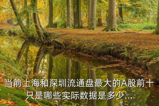 當(dāng)前上海和深圳流通盤最大的A股前十只是哪些實際數(shù)據(jù)是多少...