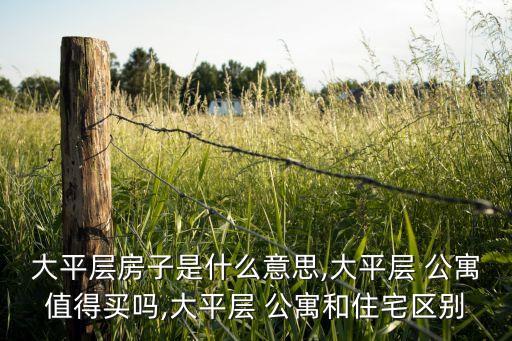 大平層房子是什么意思,大平層 公寓值得買(mǎi)嗎,大平層 公寓和住宅區(qū)別