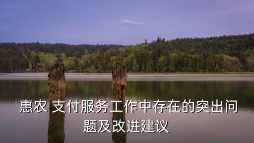  惠農 支付服務工作中存在的突出問題及改進建議