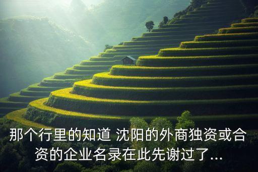 中國沈陽國際經(jīng)濟技術(shù)合作公司怎么樣,江西國際經(jīng)濟技術(shù)合作公司