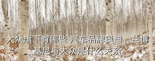 國際汽車汽車集團(tuán)子公司及關(guān)系