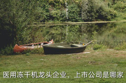 醫(yī)用凍干機(jī)龍頭企業(yè)、上市公司是哪家