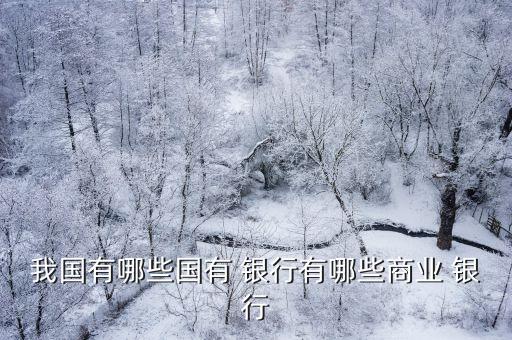我國(guó)有哪些國(guó)有 銀行有哪些商業(yè) 銀行