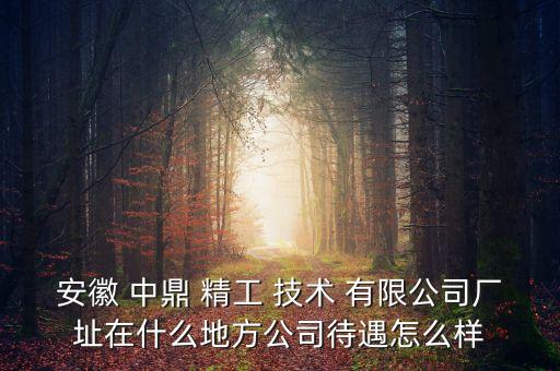 安徽 中鼎 精工 技術 有限公司廠址在什么地方公司待遇怎么樣