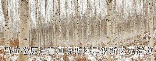 馬拉松原油看道瓊斯還是納斯達克指數