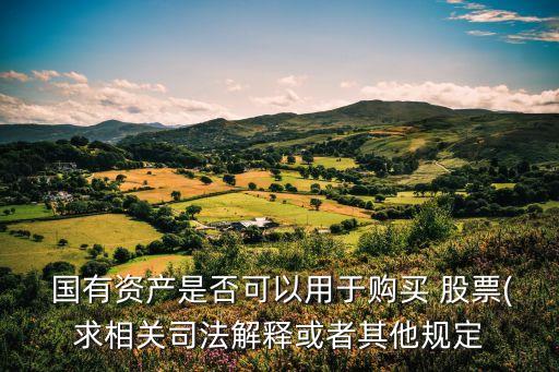  國(guó)有資產(chǎn)是否可以用于購買 股票(求相關(guān)司法解釋或者其他規(guī)定