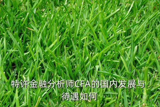 特許金融分析師CFA的國(guó)內(nèi)發(fā)展與 待遇如何