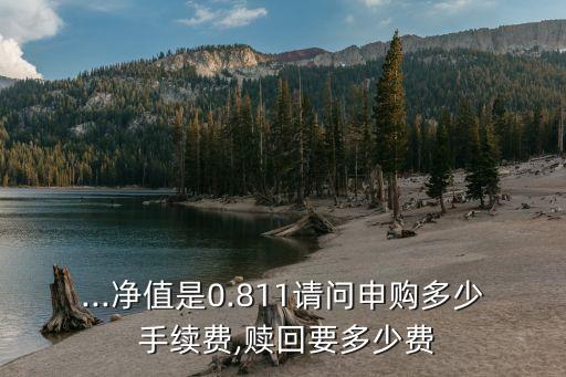 嘉實基金手續(xù)費(fèi),011248嘉實基金