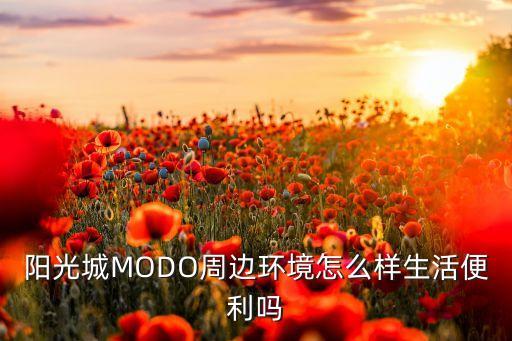 陽(yáng)光城MODO周邊環(huán)境怎么樣生活便利嗎